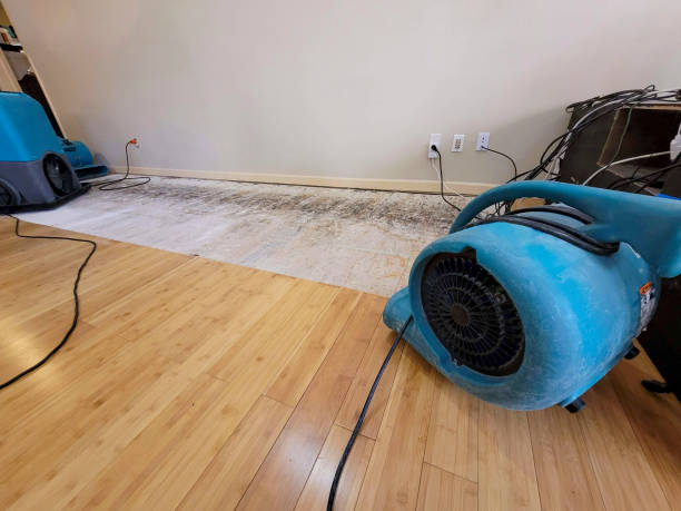 Professional Basement Flood Cleanup technician working in Vale, OR